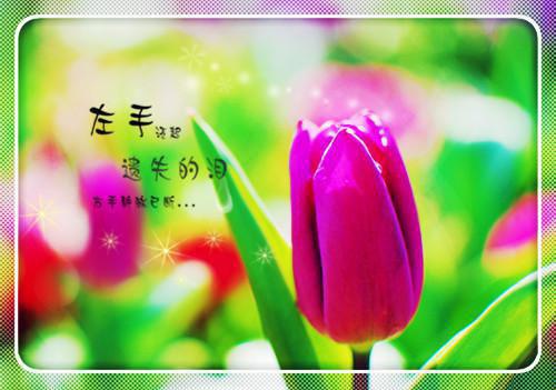 适当喝酒还能美容，这些果酒可以喝