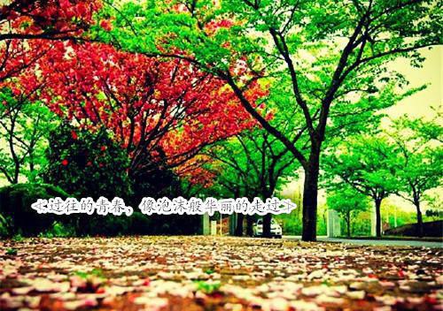 春季吃些什么最好？