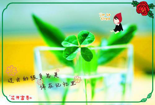 孩子换牙期间宜多吃什么