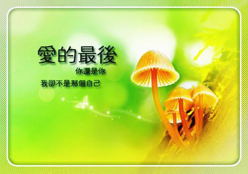 4种早餐孕妇不能吃