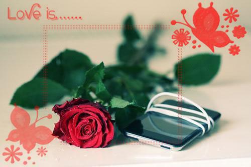 适量吃野菜能帮助降血压