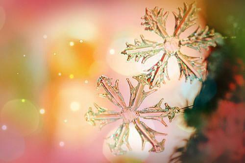 中医提醒：夏季要多喝粥！