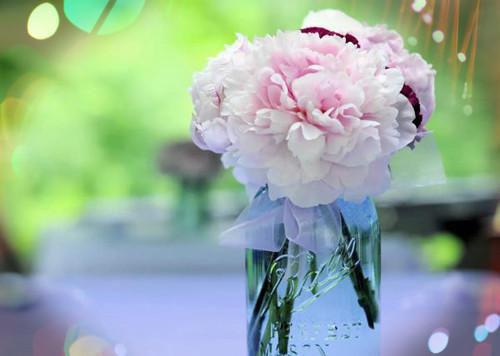 酸奶三种喝法 减肥又丰胸