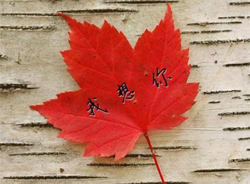 糖尿病患者运动不足 建议晚餐喝粥