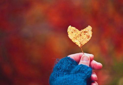 菠菜番茄 预防肺癌的9种食物