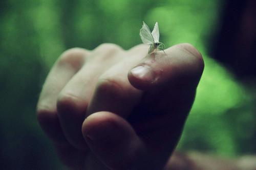 生姜可治疗常见病