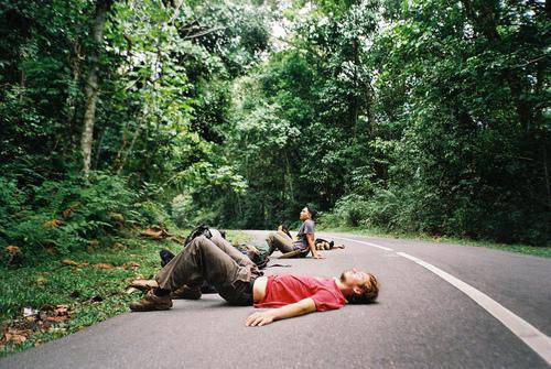 口蘑营养价值剖析