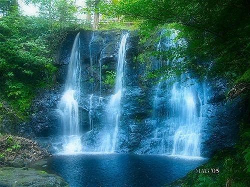 虾皮是“天然钙库” 补钙吃对食物就行