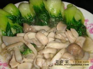 菜心烩双菇的做法