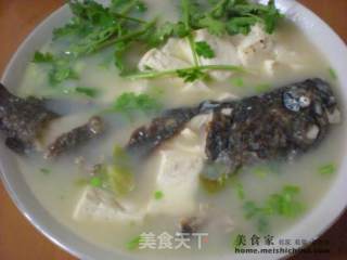 黑头鱼炖豆腐的做法