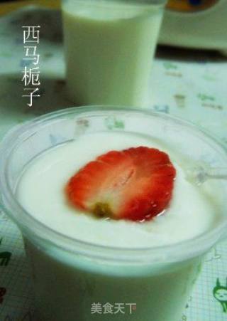 自制酸奶的做法