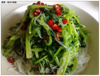 粉丝拌菠菜