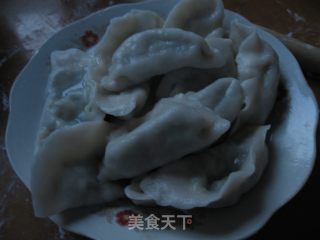 韭菜鸡蛋饺子