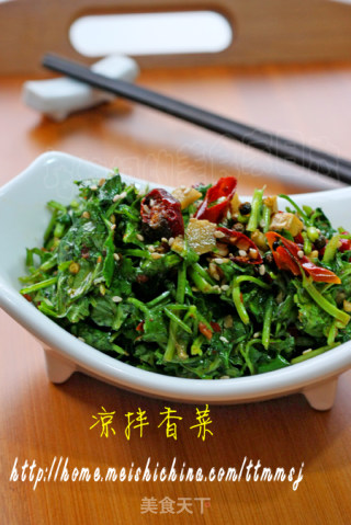 凉拌香菜的做法