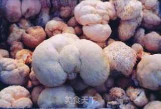 猴头菇的泡发和4种做法的做法