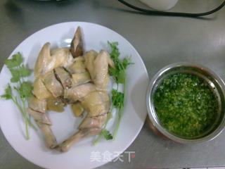 姜葱白切鸡的做法