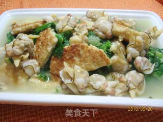 小白菜豆饼白蛤汤的做法