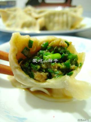 韭菜猪肉水饺的做法