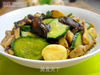 香菇炒黄瓜片的做法