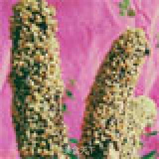 别样的香蕉吃法（狼羊棒）的做法