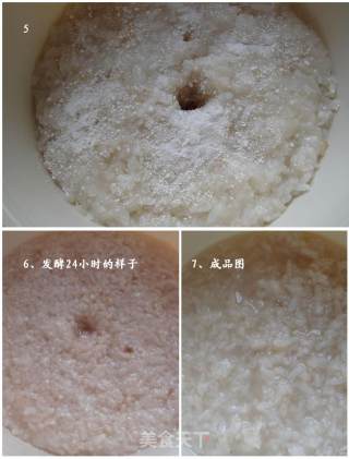 自制甜酒酿的做法