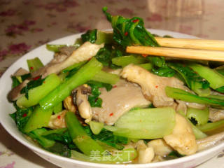 油菜平菇的做法
