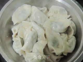 荠菜饺子