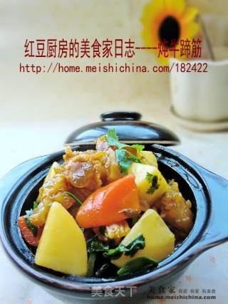 炖牛蹄筋的做法
