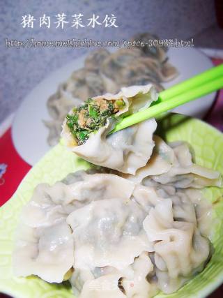 荠菜猪肉水饺的做法