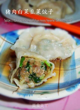 猪肉白菜 韭菜饺子