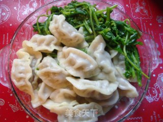 紫菜虾皮肉饺的做法