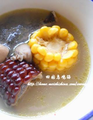 田园乌鸡汤的做法