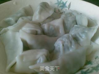 鲜肉荠菜饺子的做法