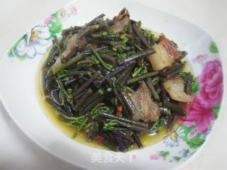 辣炒蕨菜的做法