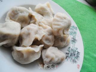 香椿肉饺子