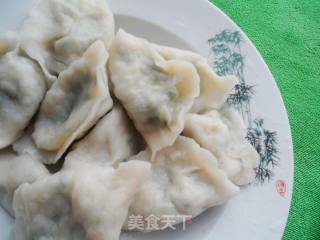 韭菜豆腐饺子