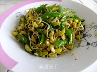 尖椒炒豆芽的做法
