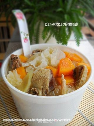 【飞禽走兽篇】-木瓜银耳炖乳鸽的做法