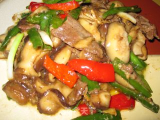 【飞禽走兽】蘑菇炒牛肉的做法