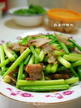 【飞禽走兽】--蒜苗炒腊肉的做法