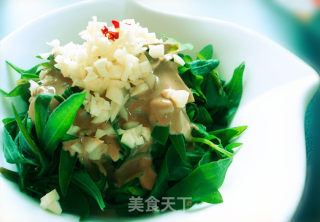 拌扫帚菜的做法