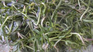 空心菜芽苗菜的做法