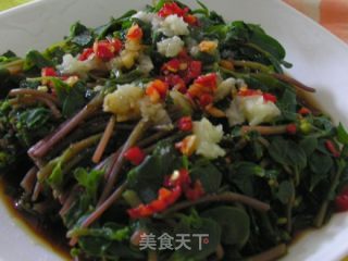 【夏日小凉菜】凉拌马齿苋的做法