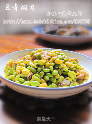 [我爱我的家]豆青焖肉的做法