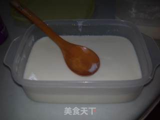 自制原味酸奶的做法