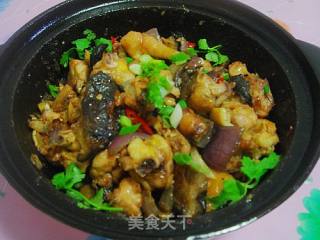 啫啫鸡煲的做法
