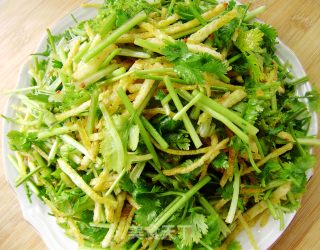 夏日小凉菜----土豆丝拌香菜的做法