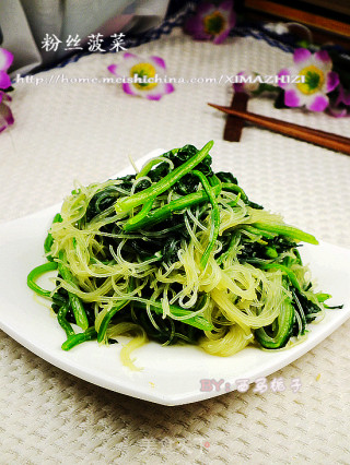 夏季小菜--粉丝菠菜的做法