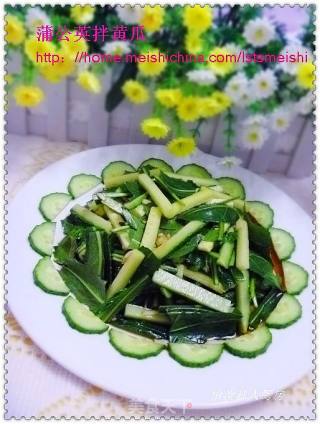 【夏季小凉菜】蒲公英拌黄瓜的做法