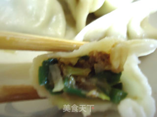 猪肉白菜韭菜水饺的做法